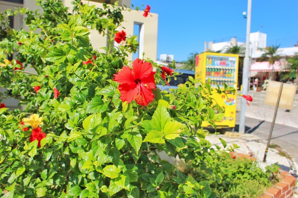 Guest House Route 6 يوميتان المظهر الخارجي الصورة